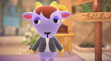 Load image into Gallery viewer, Kidd - Villager NFC Card for Animal Crossing New Horizons Amiibo