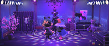 Load image into Gallery viewer, Quinn - Villager NFC Card for Animal Crossing New Horizons Amiibo