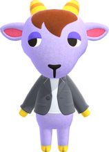 Load image into Gallery viewer, Kidd - Villager NFC Card for Animal Crossing New Horizons Amiibo