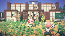 Load image into Gallery viewer, Dom - Villager NFC Card for Animal Crossing New Horizons Amiibo