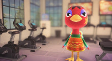 Load image into Gallery viewer, Rio - Villager NFC Card for Animal Crossing New Horizons Amiibo