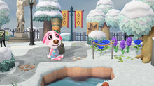 Load image into Gallery viewer, Cookie - Villager NFC Card for Animal Crossing New Horizons Amiibo
