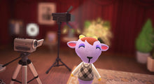 Load image into Gallery viewer, Kidd - Villager NFC Card for Animal Crossing New Horizons Amiibo