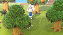 Load image into Gallery viewer, Rolf - Villager NFC Card for Animal Crossing New Horizons Amiibo